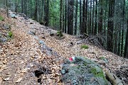 Al Monte Campo e Laghetto di Pietra Quadra da Capovalle-Caprini il 6 aprile 2017 - FOTOGALLERY